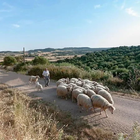 בית נופש Lo Stazzo Multa Bianca Relax Assoluto Nella Natura *
